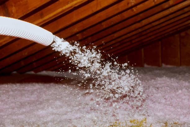 Best Cellulose Insulation in Bystrom, CA
